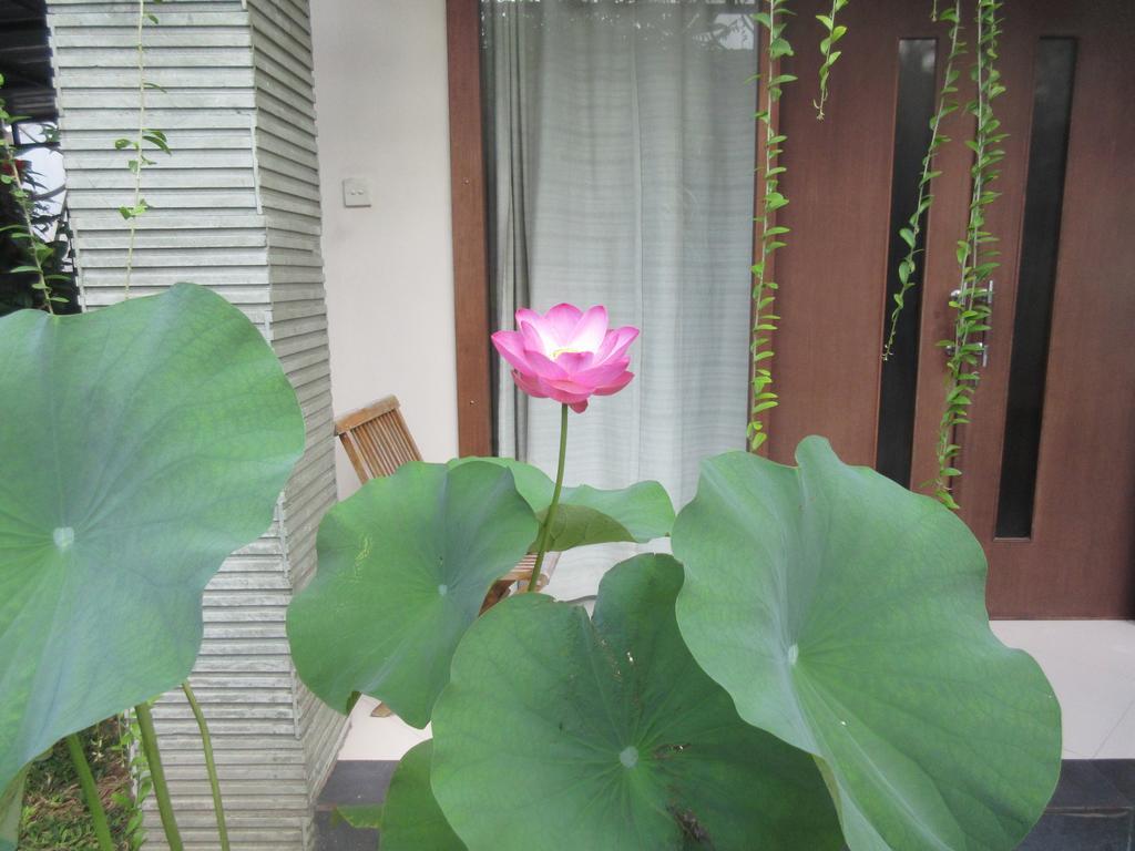 Rika Sanur Homestay Exterior photo
